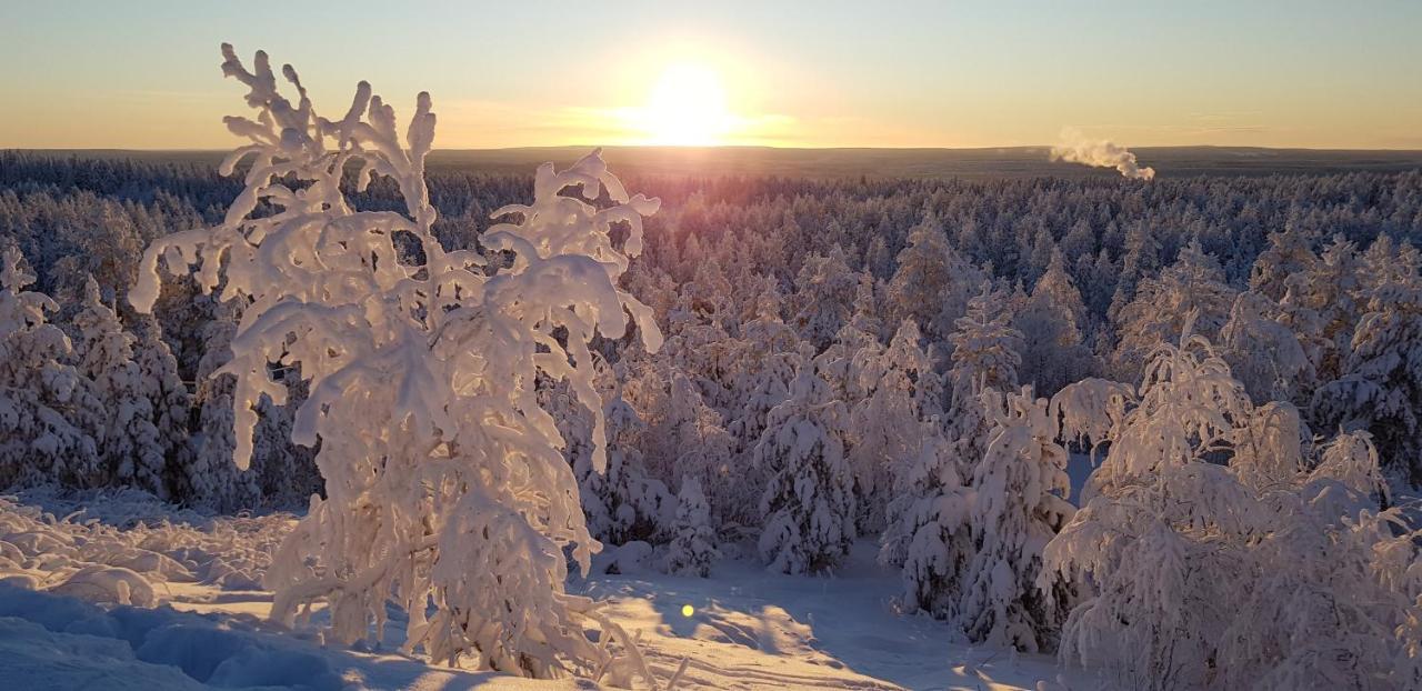 Villaski Rovaniemi Eksteriør bilde
